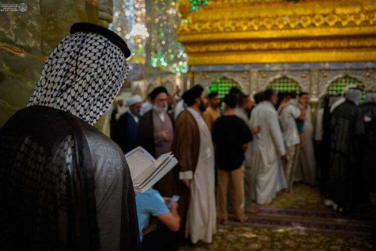 Bx88cc6
