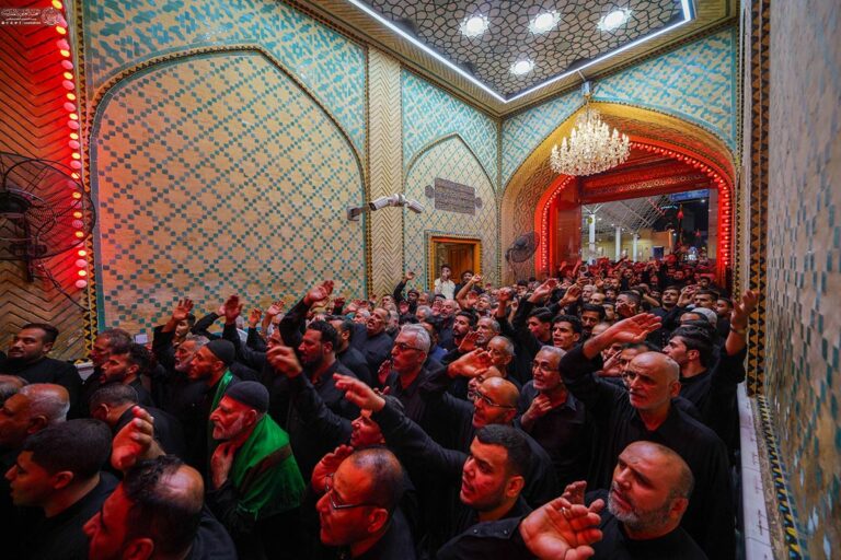 fatemieh7658