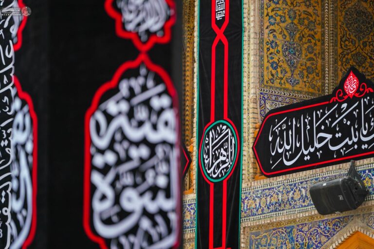 photo_3_2026-10-24_19-15-32