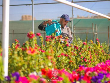 گل‌آرایی آستان مقدس علوی به مناسبت عید فرخنده غدیر