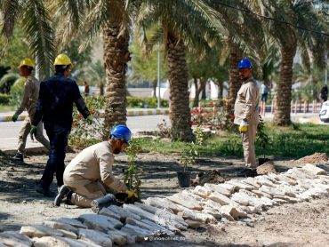 آستان مقدس علوی با هدف افزایش فضای سبز طرح درختکاری را آغاز کرد